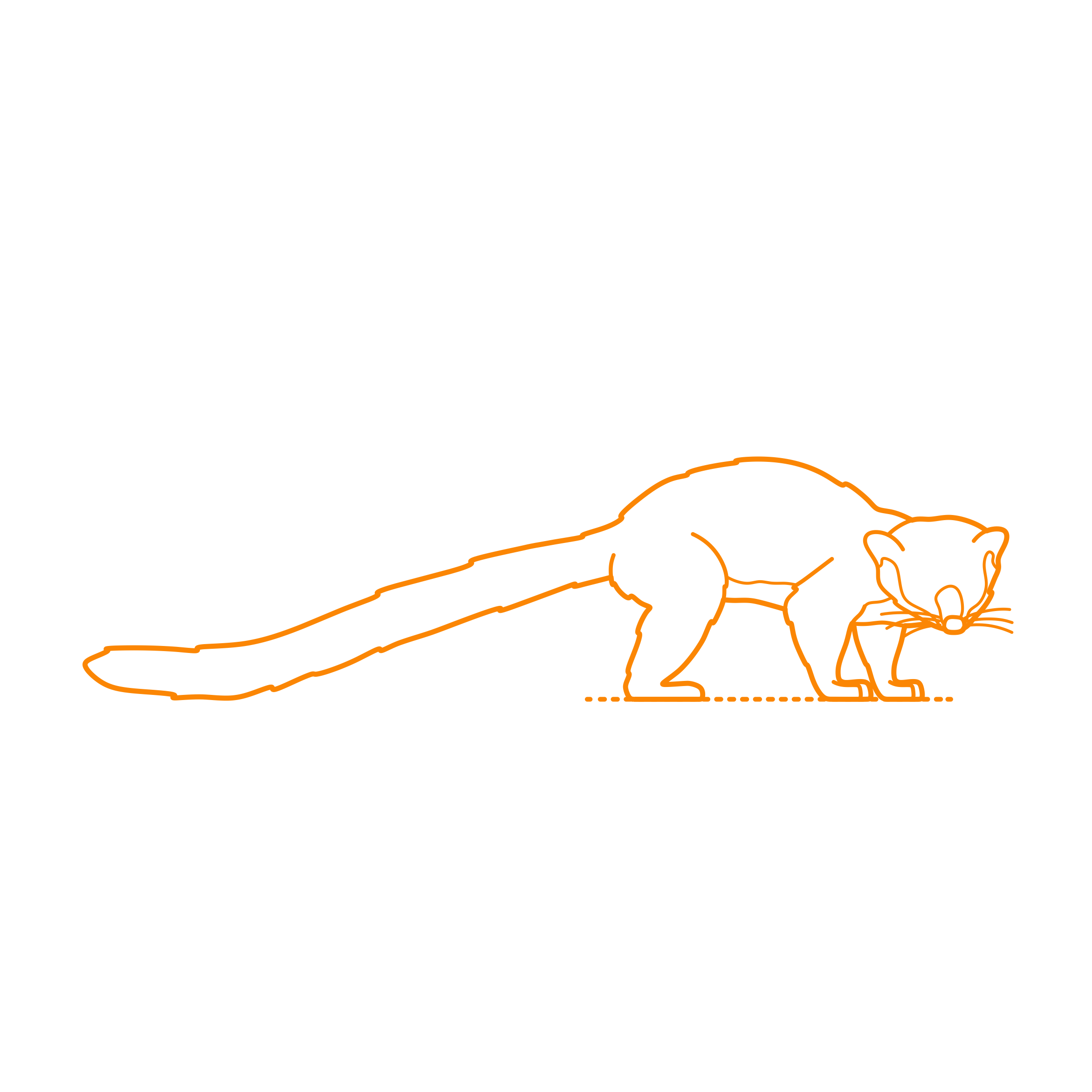 Animals Procyonids Northern Olingo Simple Line Art Svg Free Vectors